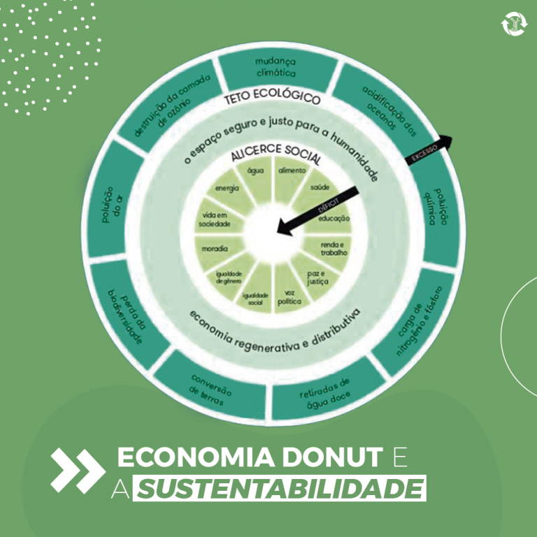 Economia Donut e a sustentabilidade
