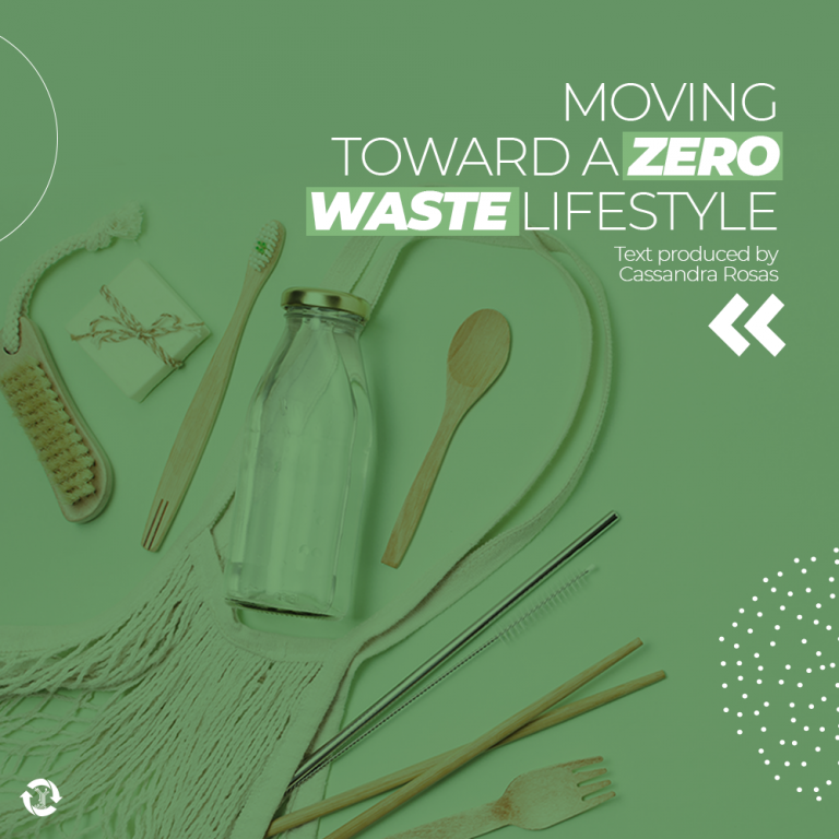 Moving Toward a Zero Waste Lifestyle