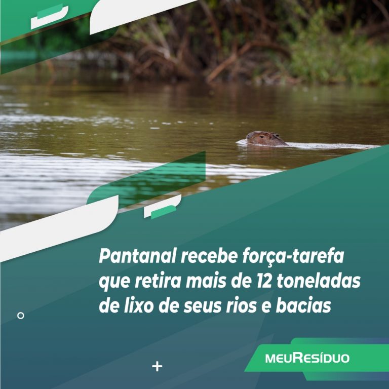 Pantanal recebe força-tarefa que retira mais de 12 toneladas de lixo de seus rios e bacias