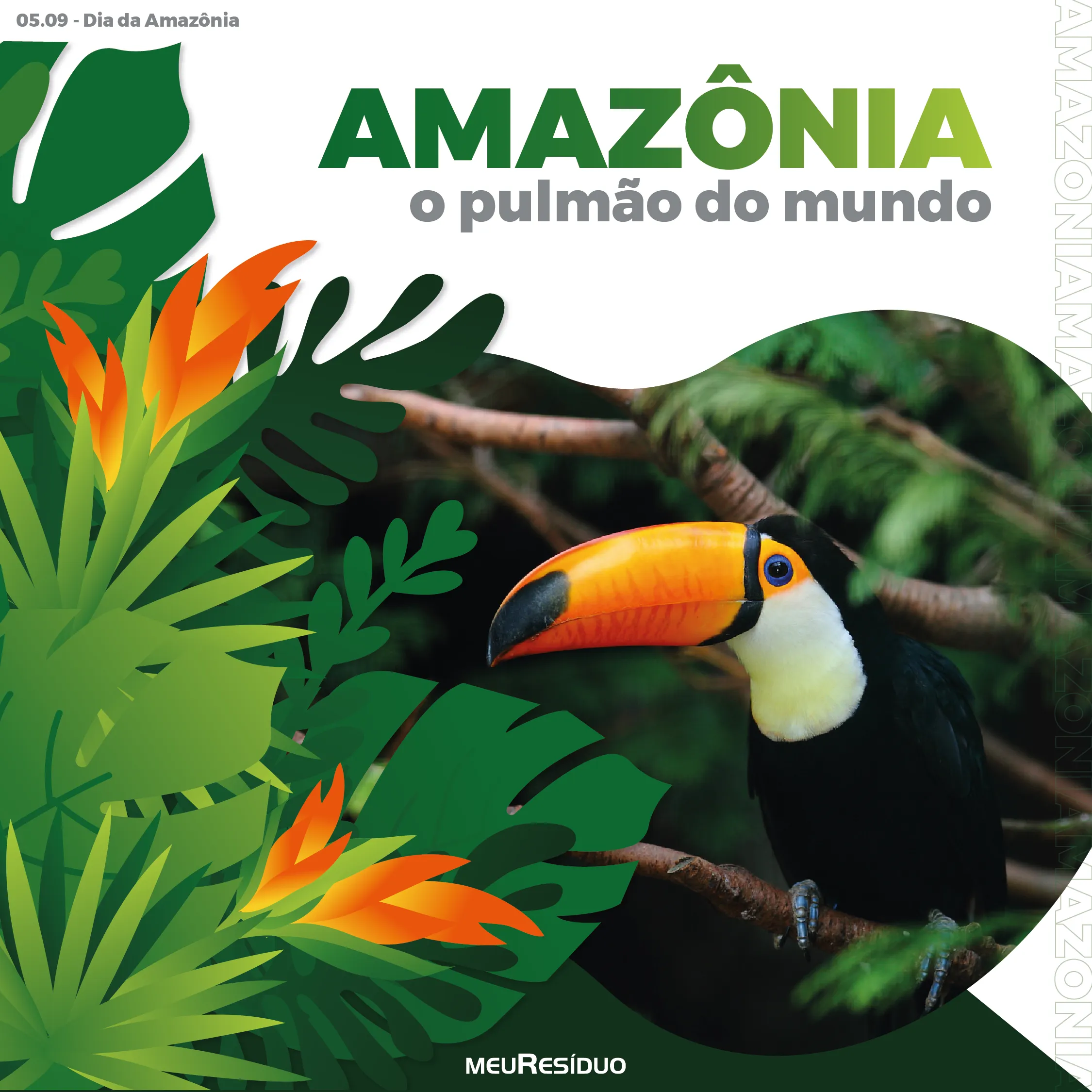 Amazônia