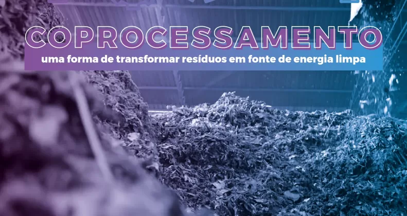 O que é coprocessamento?