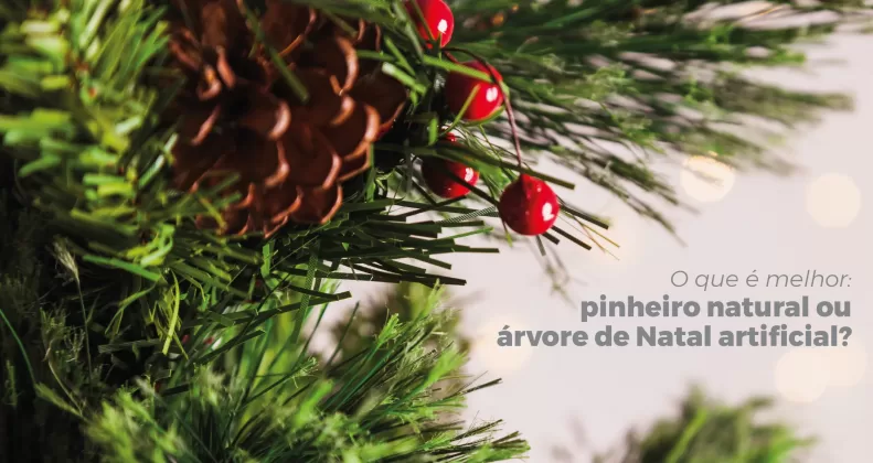 O que é melhor: pinheiro natalino natural ou árvore de Natal artificial?